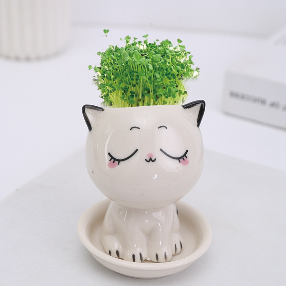 h6MnCeramic-Flowerpot-Mini-Cat-Shaped-Cartoon-Cute-Potted-Plant-Desktop-Potted-Expression-Cat-Plant-Pot-Desk